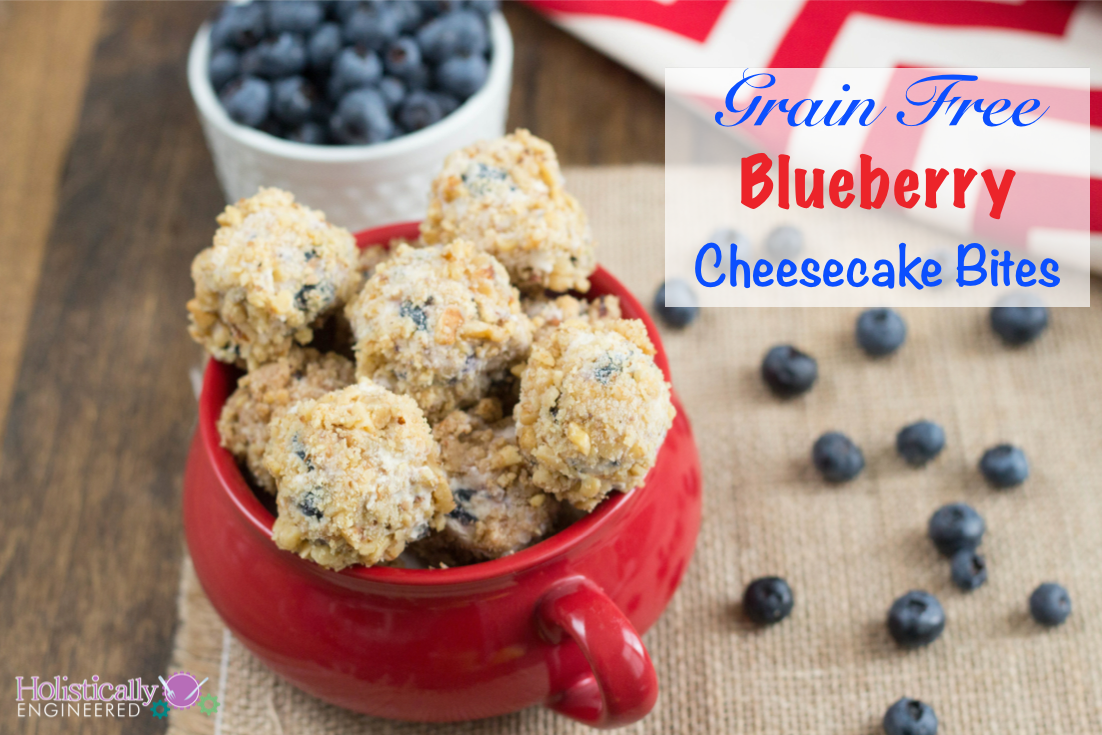 Grain Free No Bake Bluberry Cheesecake Bites_.001