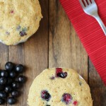 blueberry muffin in a minute_low carb and paleo