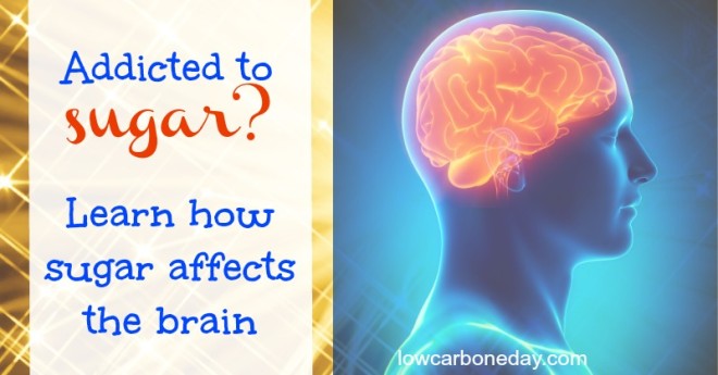 Addicted to Sugar? Learn How Sugar Affects the Brain - Holistically ...