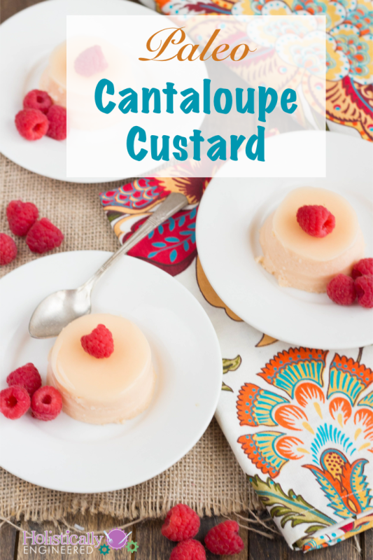 Paleo Cantaloupe Custard #paleo #dairyfree #essentialoils