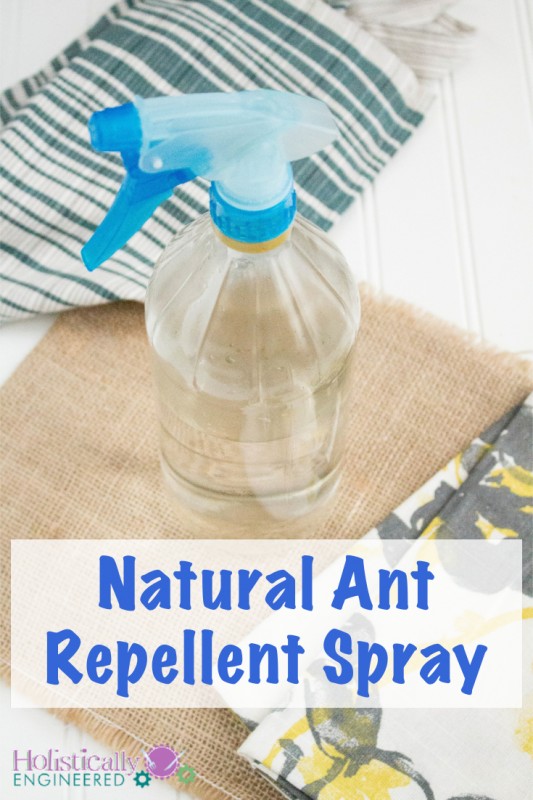 Natural Ant Repellent Spray #DIY #essential oils