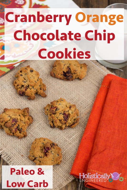 Low Carb Cranberry Orange Chocolate Chip Cookies | Holistically Engineered