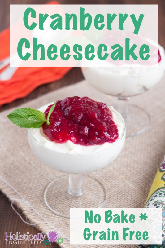 No Bake Cranberry Cheesecake (Grain Free) 