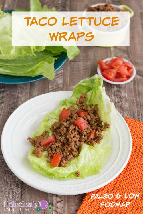 Taco Lettuce Wraps (Paleo and Low FODMAP) - Holistically Engineered