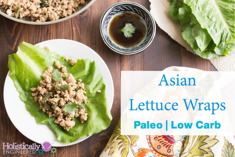 Holistically Engineered - Grain Free Paleo Recipes and Healthy Living
