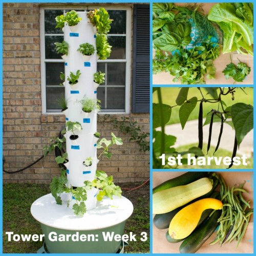 Tower Garden Collage